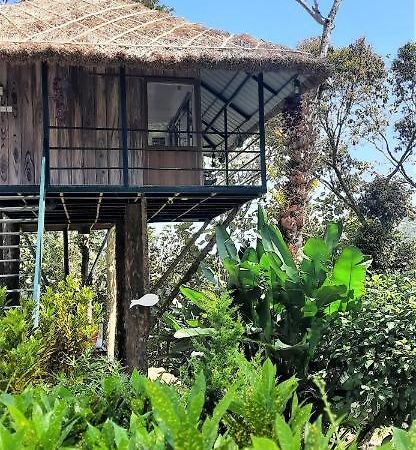 Noah'S Nest Tree House Thekkady Exterior foto