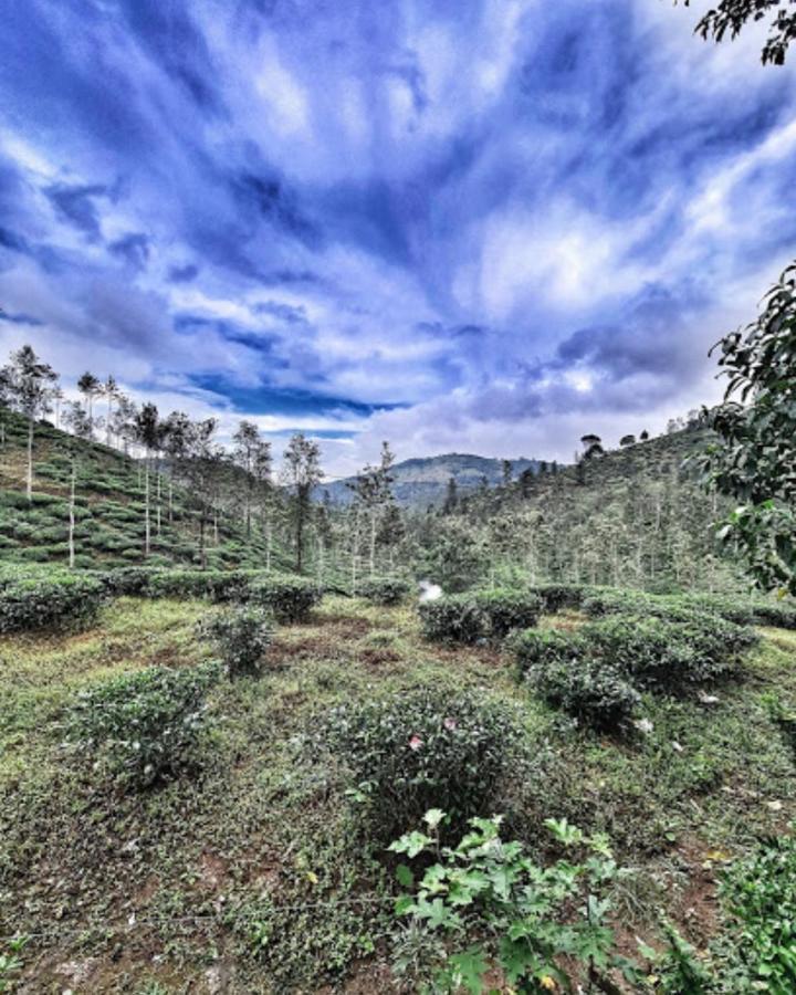 Noah'S Nest Tree House Thekkady Exterior foto