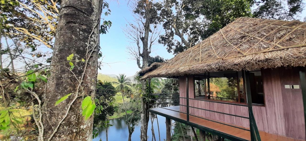 Noah'S Nest Tree House Thekkady Exterior foto