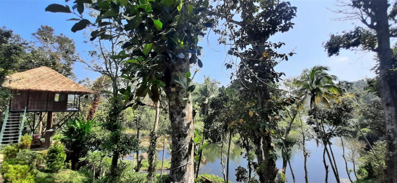 Noah'S Nest Tree House Thekkady Exterior foto