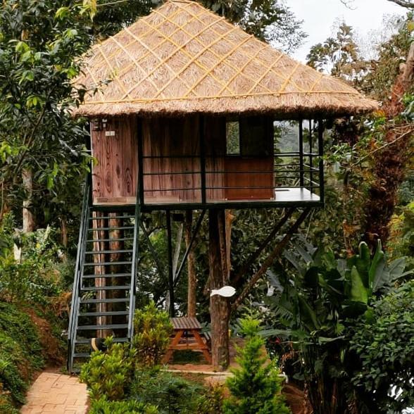 Noah'S Nest Tree House Thekkady Exterior foto