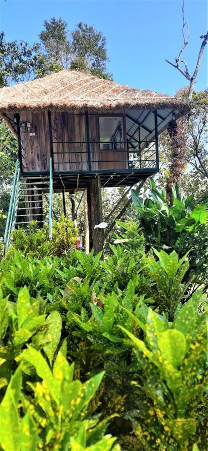 Noah'S Nest Tree House Thekkady Exterior foto