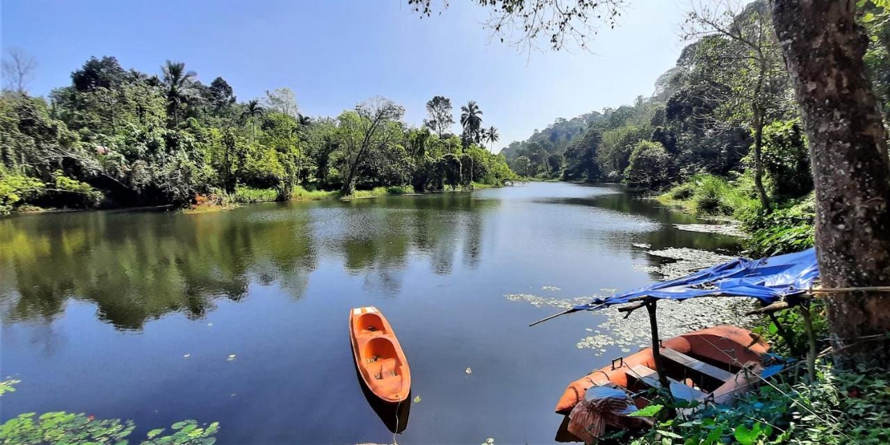Noah'S Nest Tree House Thekkady Exterior foto