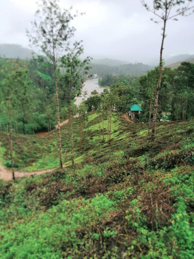 Noah'S Nest Tree House Thekkady Exterior foto