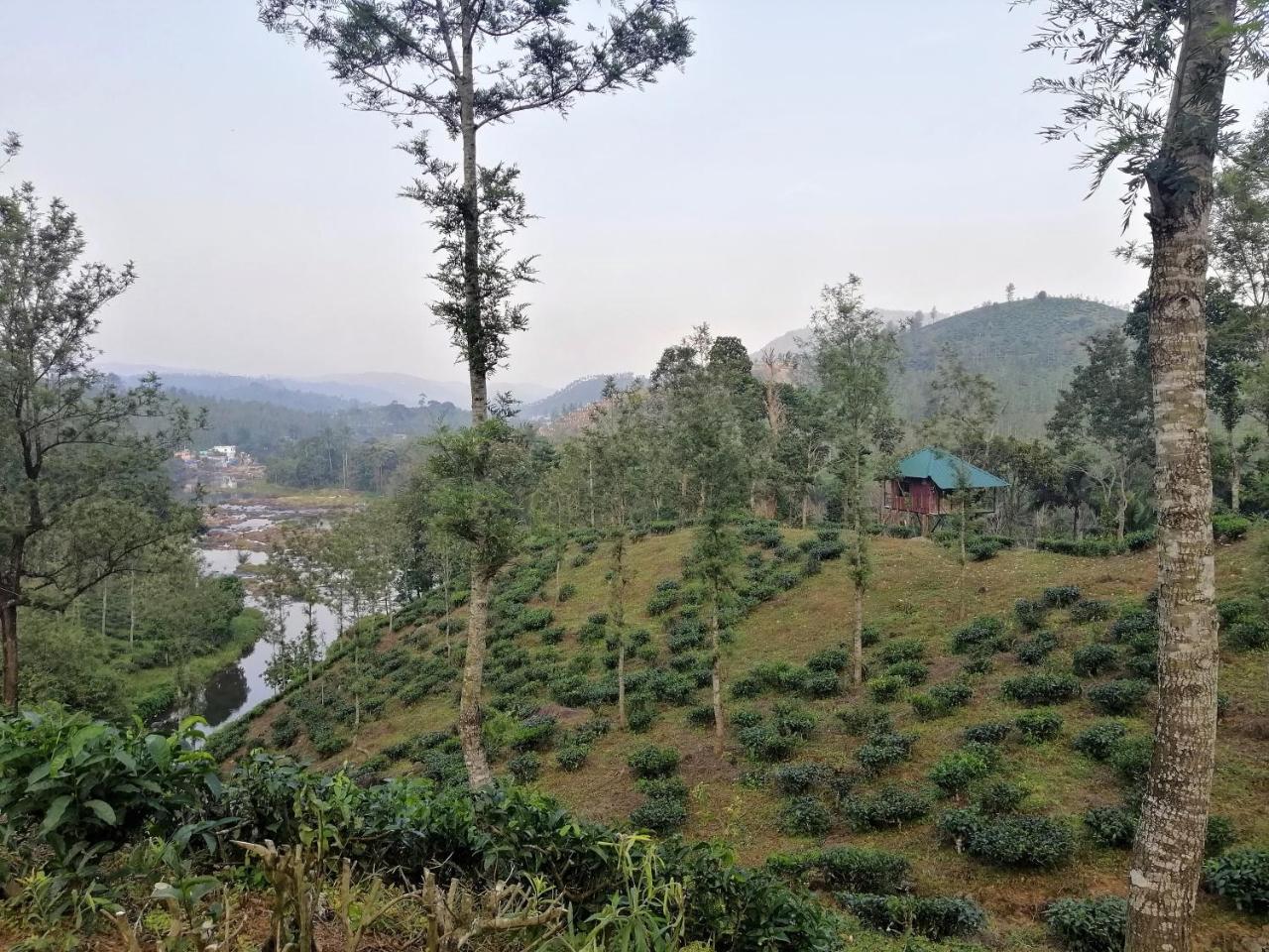 Noah'S Nest Tree House Thekkady Exterior foto