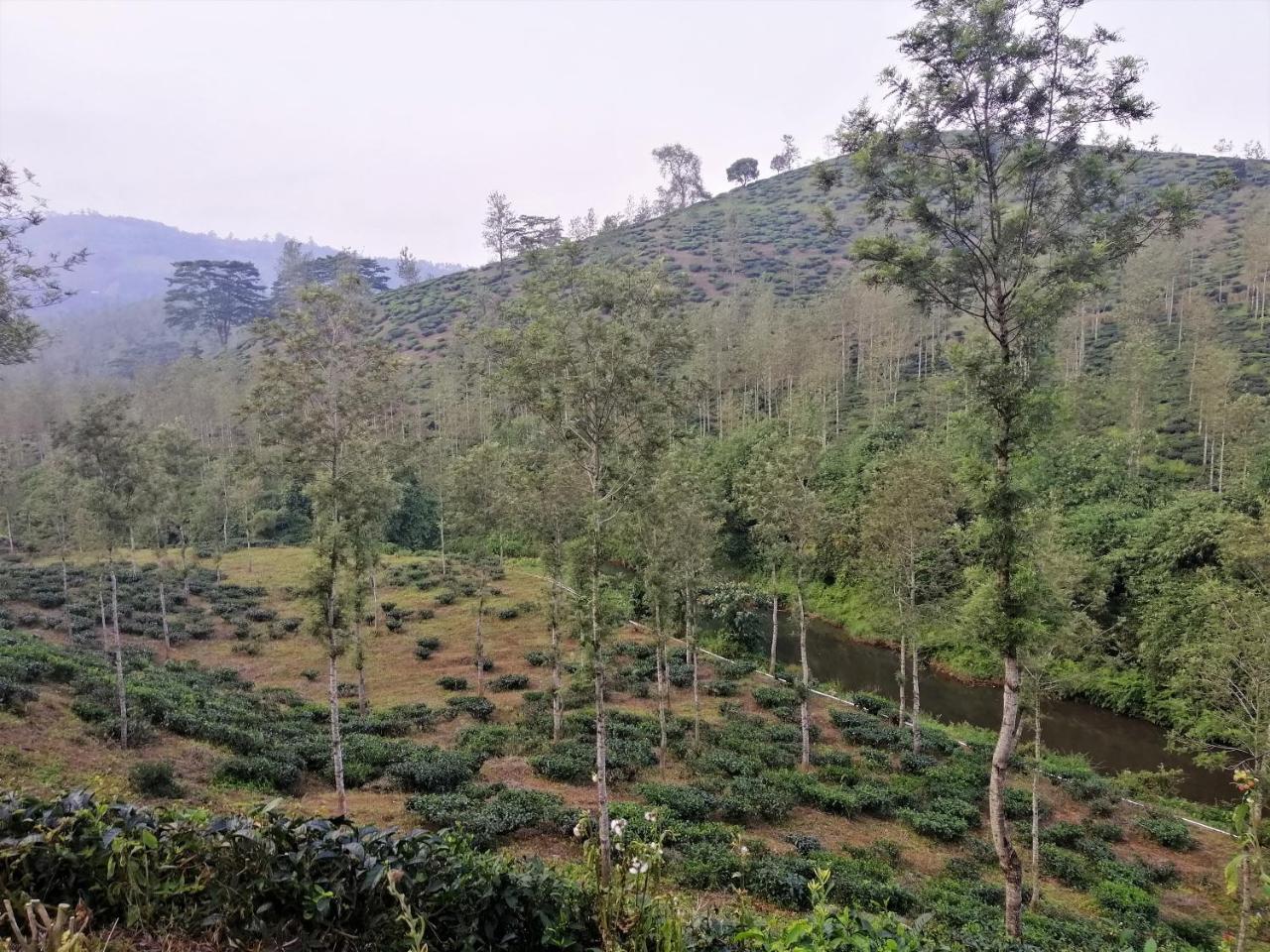 Noah'S Nest Tree House Thekkady Exterior foto