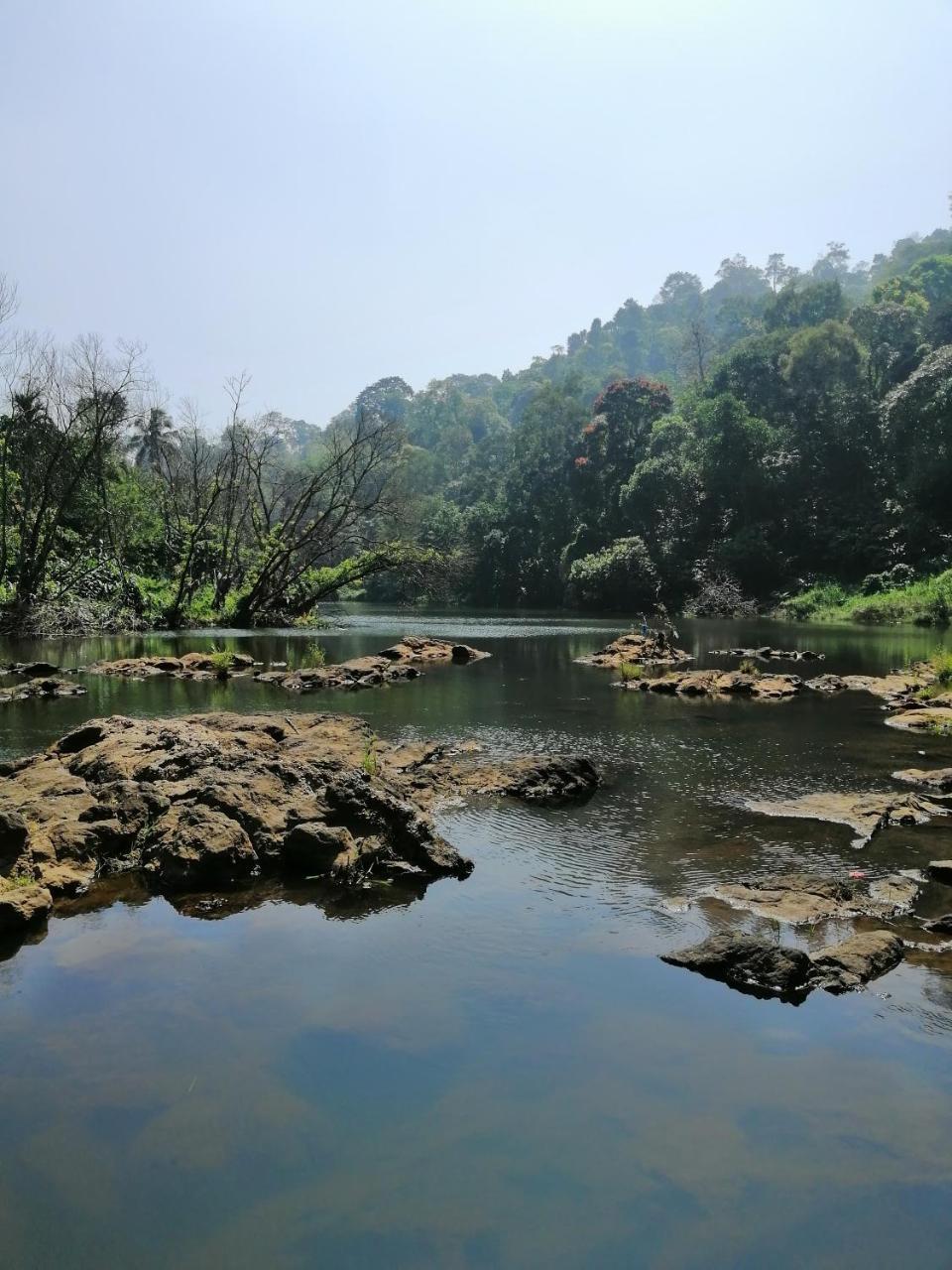 Noah'S Nest Tree House Thekkady Exterior foto