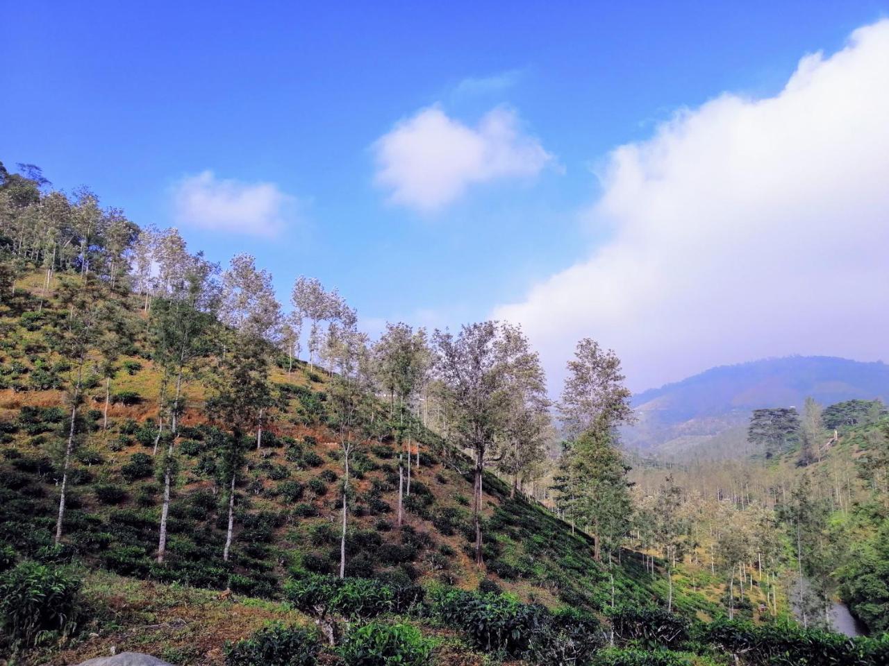 Noah'S Nest Tree House Thekkady Exterior foto
