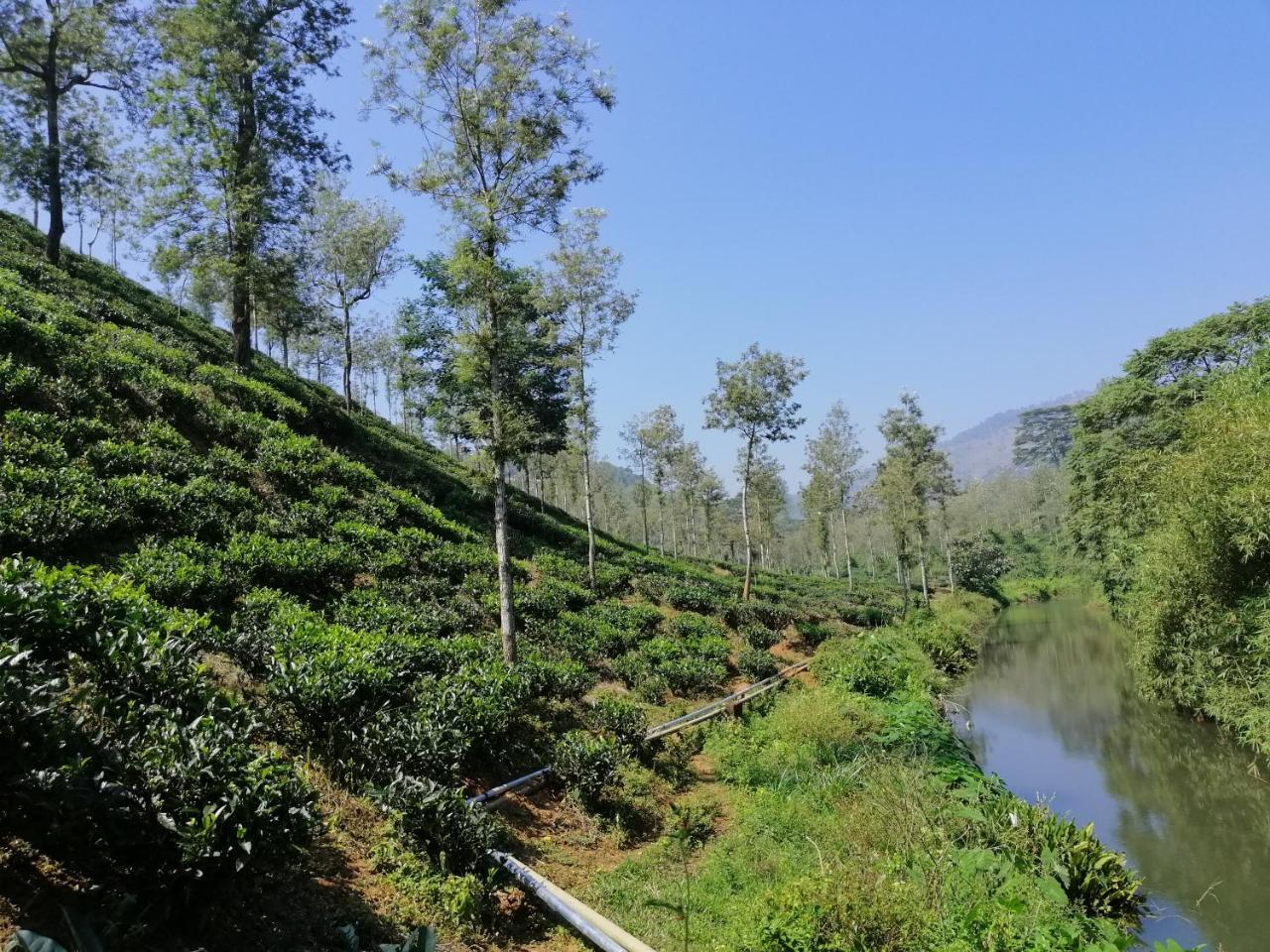 Noah'S Nest Tree House Thekkady Exterior foto